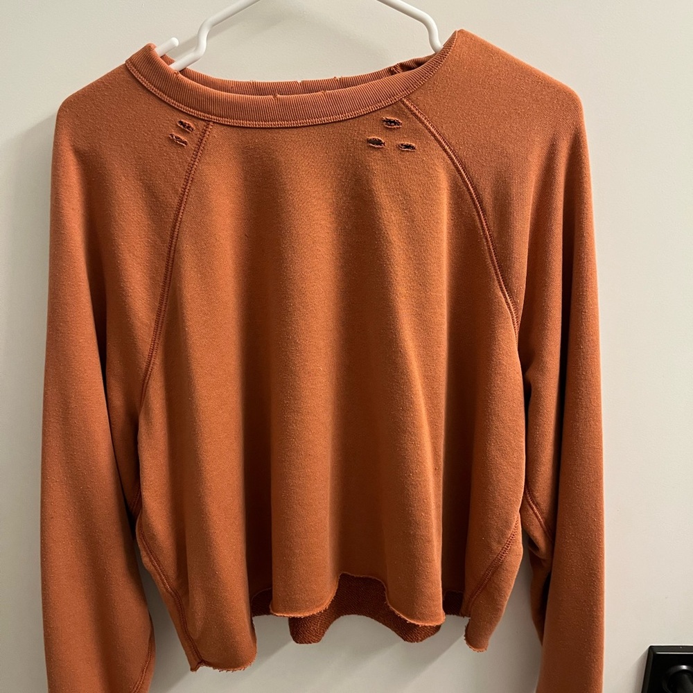 AERIE CROPPED CREWNECK